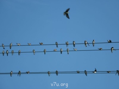 Природа наших мест - 12.JPG