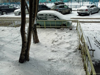 Пейзаж перед окном.