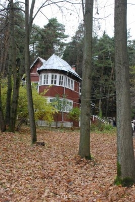 У природы нет плохой погоды - DSC_1123.JPG