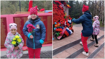 Рубина - 9 лет., Вологодская обл. - image.jpg