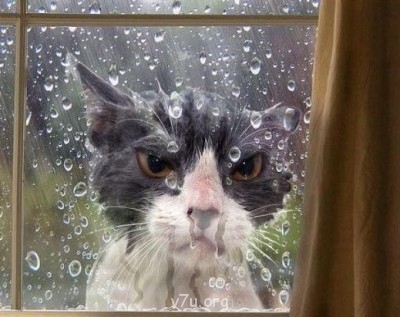 Кризис 2014 - getImage[9].jpg