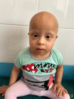 Солнышки, не лишние... - 7wmf1-gio1.jpg