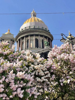 Жили-были мы. - IMG_20240603_121040_714.jpg