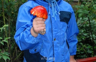 Сегодня на обед - DSC_0056.JPG