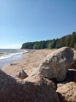 Жили-были мы. - IMG20240612163120.jpg