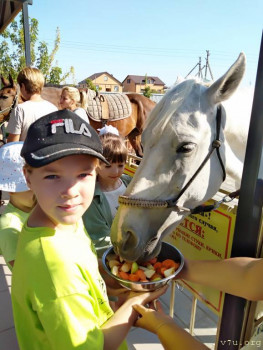 Опять чувствую себя виноватой - IMG_20230825_084706_BEAUTY.jpg