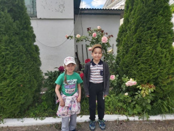 Паровозики в усыновление - image.jpg