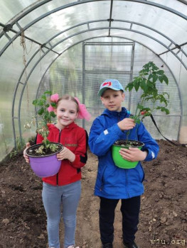 Малыши из Томска - IMG_20240701_172753_543.jpg