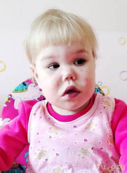 Дата публикации фотографии — 2024-06-13