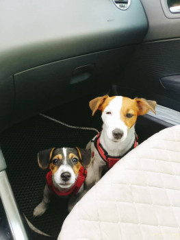 Второй раз в ту же реку  - IMG20240713202009.jpg