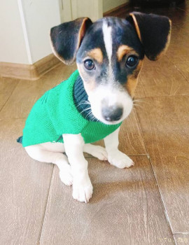 Второй раз в ту же реку  - IMG_20240706_161726.jpg