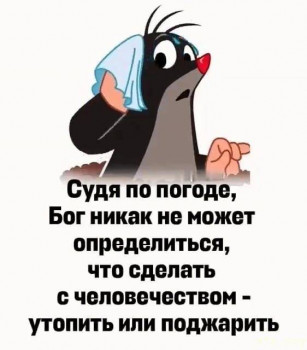 Юмор - IMG-20240701-WA0002.jpg