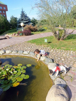 Второй раз в ту же реку  - IMG20240717170837_01.jpg