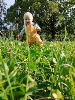 Второй раз в ту же реку  - IMG_20240811_170055_351.jpg