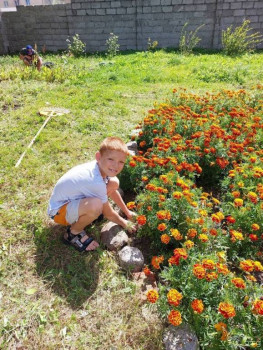 Рыжик Тёма - 9 лет, Калининградская обл. - image.jpg