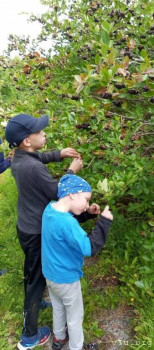 Иван, 7 лет, Карелия - image.jpg