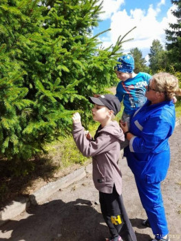 Иван, 7 лет, Карелия - image.jpg