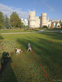 Второй раз в ту же реку  - IMG_20240815_074725.jpg