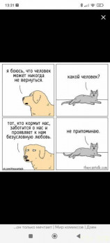 Юмор - Screenshot_2024-08-01-13-31-49-645_com.yandex.browser.jpg