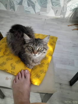 Юмор - 20240817_081014.jpg