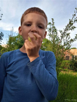 Рыжик Тёма - 9 лет, Калининградская обл. - image.jpg