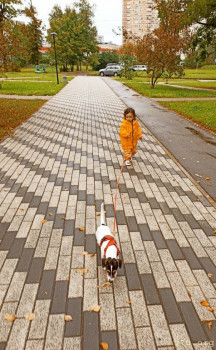 Второй раз в ту же реку  - IMG_20240823_181902_586.jpg