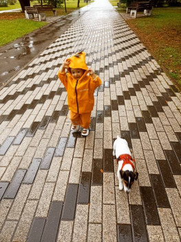 Второй раз в ту же реку  - IMG_20240823_181931_742.jpg