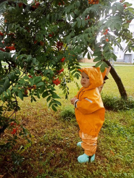 Второй раз в ту же реку  - IMG_20240823_182231_185.jpg