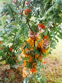 Второй раз в ту же реку  - IMG_20240823_182231_169.jpg