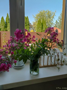 Второй раз в ту же реку  - IMG_20240828_100558.jpg