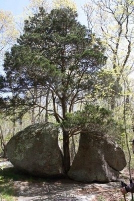 Ваше состояние души: мысли и чувства в картинке или мелодии - Sdk62My8se4.jpg