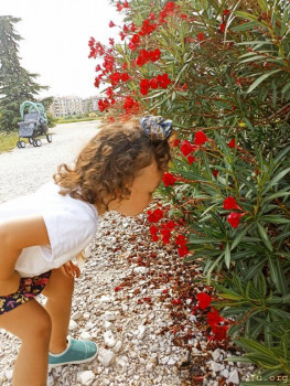 Второй раз в ту же реку  - IMG_20240904_191322_802.jpg