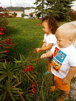 Второй раз в ту же реку  - IMG_20240904_151103.jpg