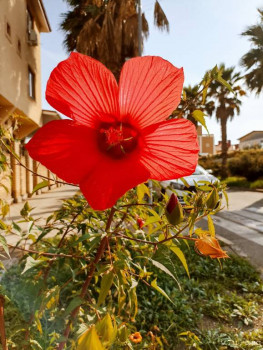 Второй раз в ту же реку  - IMG_20240904_155233.jpg