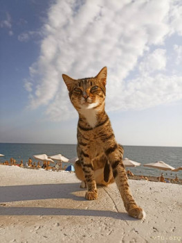 Второй раз в ту же реку  - IMG_20240903_164351.jpg