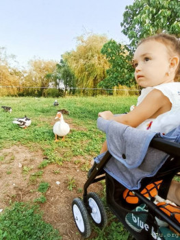 Второй раз в ту же реку  - IMG_20240903_160801.jpg