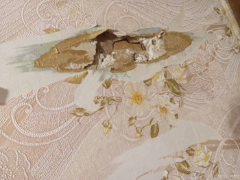 Розовые пони - IMG_20240911_084721.jpg