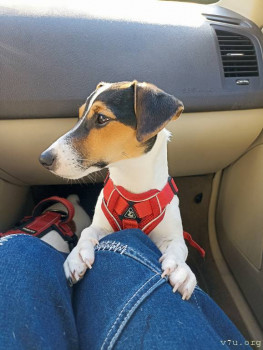 Второй раз в ту же реку  - IMG_20240922_090531.jpg