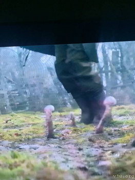 Фильмы - 990C542F-0EC6-45F9-8F98-33EE6FC5724B.jpeg