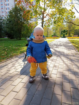 Второй раз в ту же реку  - IMG_20241003_111331.jpg