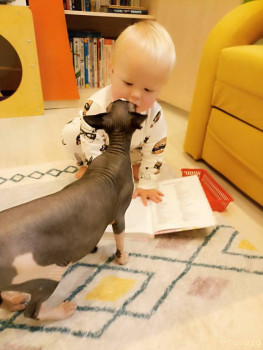 Второй раз в ту же реку  - IMG_20241003_154520_817.jpg