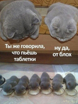 Юмор - fRrLqEv3Cpg.jpg