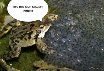 Юмор - DF559B11-F2B7-4323-A4B5-F3DB818DBEF0.jpeg