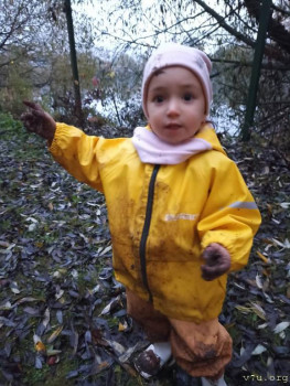 Второй раз в ту же реку  - IMG_20241008_175054_711.jpg