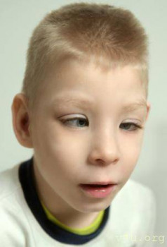 Иван, 7 лет, Карелия - image.jpg