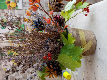 Розовые пони - IMG_20240924_101035.jpg