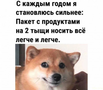 Юмор - IMG-20241015-WA0136.jpg