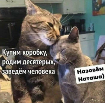 Юмор - _zIRDaETT3M.jpg