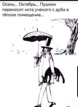 Юмор - 0e300f2495ec48c3b43578ffeaad02d0.jpg