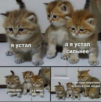 Юмор - image.jpg